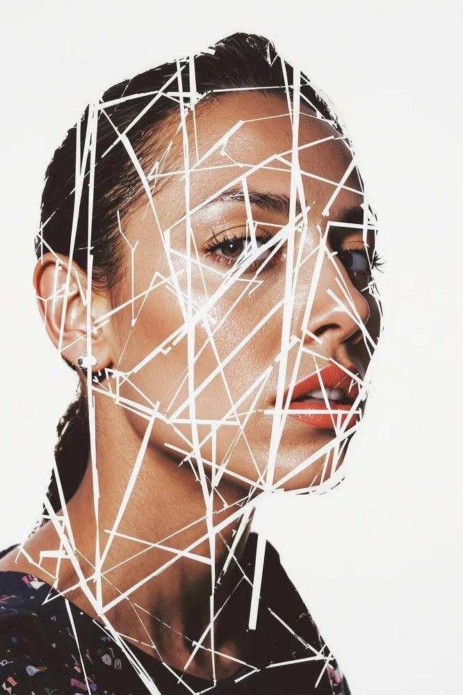 盆栽蔬菜有什么