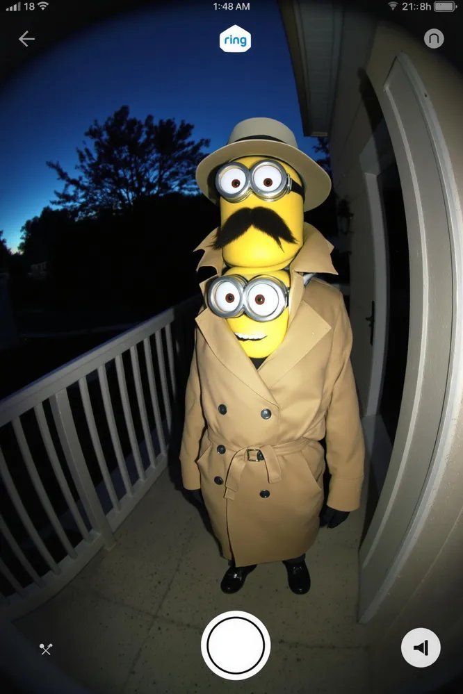 冬天露地蔬菜管理