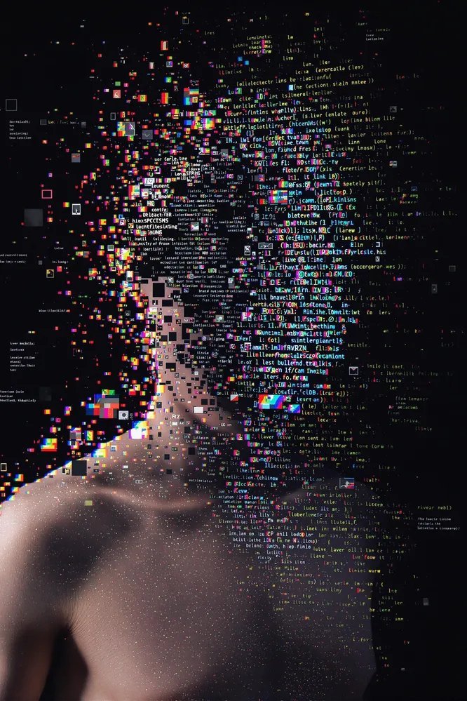 冬天適合種的蔬菜