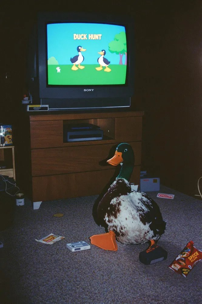 無土蔬菜栽培技術